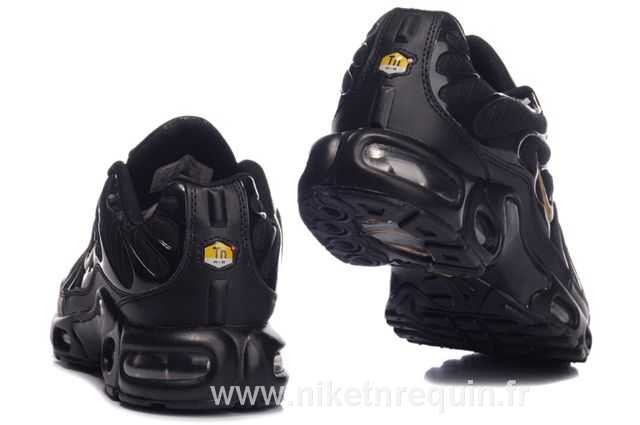 tn nike noir 2010 (3).JPG